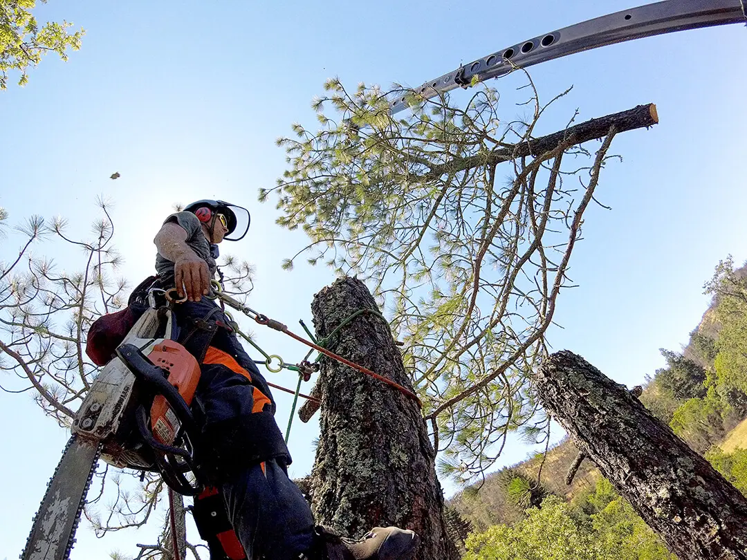 Arborist Support - Vermeer Heartland